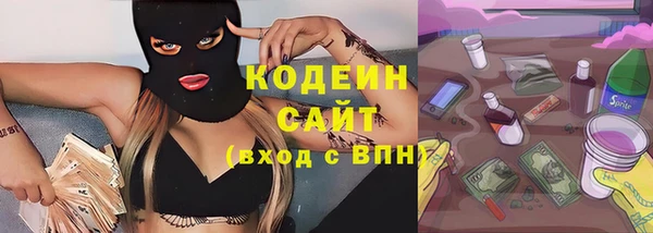 дживик Богородск