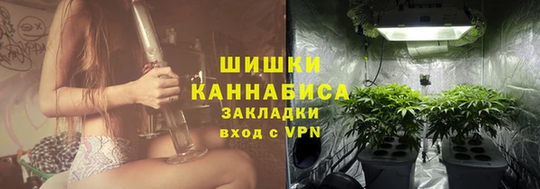 мдпв Богородицк