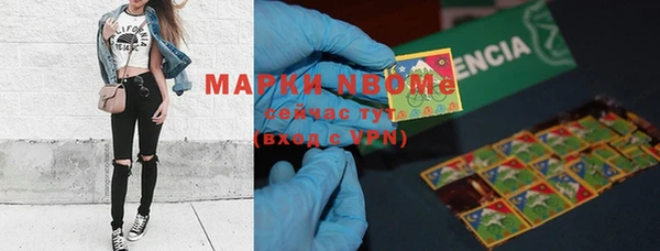 мдпв Богородицк