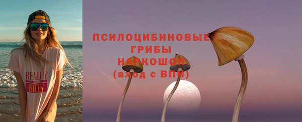 дживик Богородск
