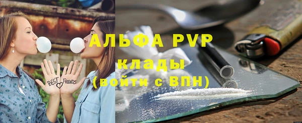дживик Богородск