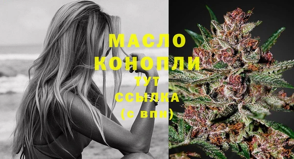 дживик Богородск