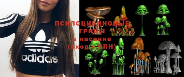 мдпв Богородицк