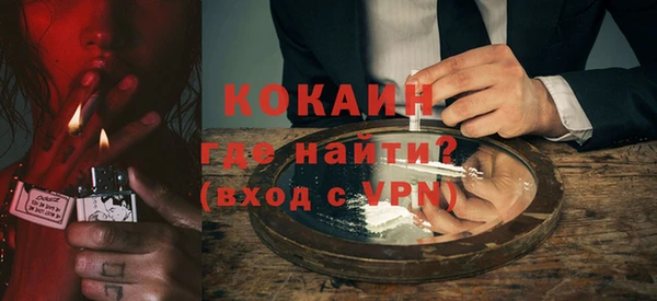 дживик Богородск