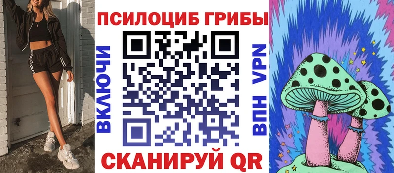 магазин продажи наркотиков  Оха  кракен рабочий сайт  Псилоцибиновые грибы MAGIC MUSHROOMS 